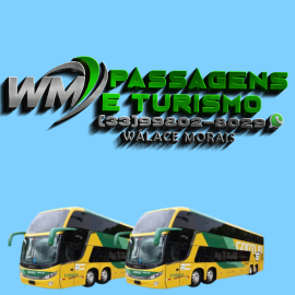 wm passagens e turismo